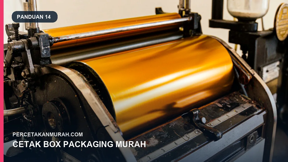 Cetak Box Packaging Murah: Struktur Kuat, Tampilan Menjual